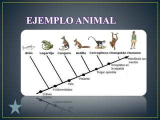 MAPA MENTAL TAXONOMÍA PPT