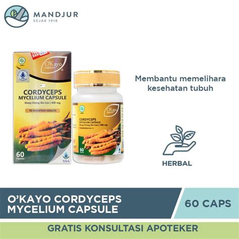 Jual O Kayo Nature Cordyceps Mycelium Capsule Dong Chong Xia Cao