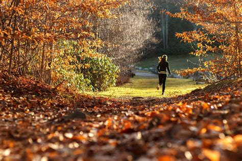 Jaki Sport Uprawia Jesieni Ba Nie Porady Nowinki I O Wiele