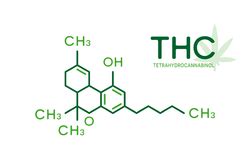 Tout savoir sur les Cannabinoïdes Blog Authentique CBD