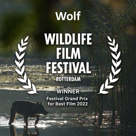 Wildlife-film .com Feature Page - Wildlife Film Festival Rotterdam 2022 ...