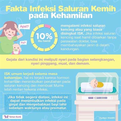 Gejala Dan Cara Mengobati Infeksi Saluran Kemih Pada Anak GueSehat