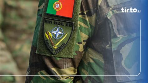 Sejarah Nato Singkatan Negara Pendiri Anggota And Tujuan Dibentuk