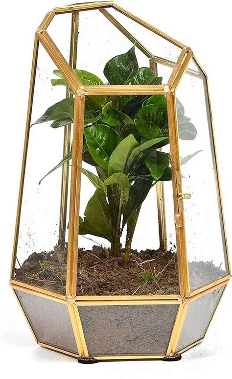 Glass And Brass Geometric Terrarium With Door Handmade Irregular