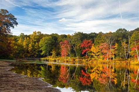 Trees And Beach The Fall Colors In Connecticut By Diane Hawkins On