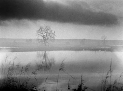 Gr E Aus Dem Karpfenland Karpfenland