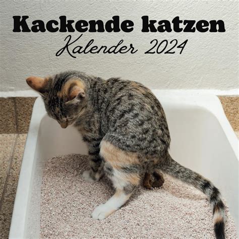 Kackende Katzen Kalender 2024 16 Monats Lustige Katzen Kalender