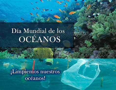 Día Mundial De Los Océanos Unsa