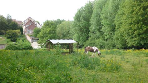 Un Dimanche Oissel Sur Seine Chevaux Jean Louis Allix Flickr