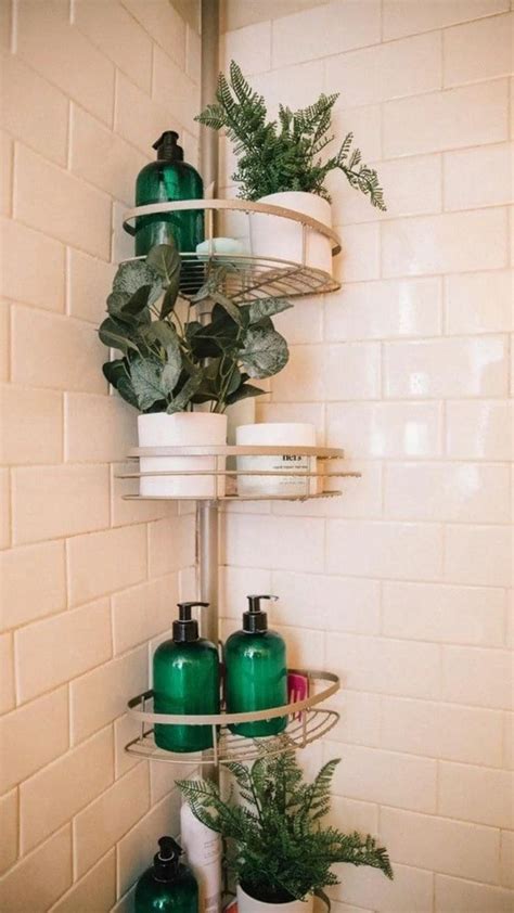 Shower Inspo With Plant Shelf