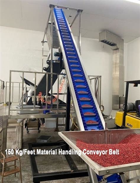 Stainless Steel Inclined Belt Conveyor Capacity 100 Kg Feet Load