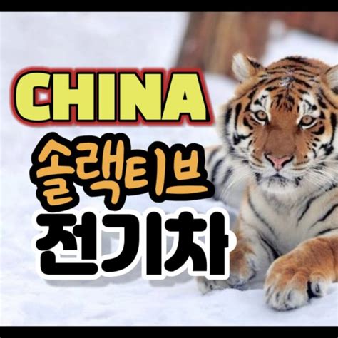 중국 주식 Etf Tiger 차이나 전기차solactive Byd Catl 2차전지테마 관련주 주가 네이버 블로그