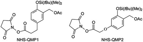 N Hydroxysuccinimide Esters NHS Used To Make Conjugates Of QMP1 And