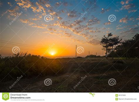 Bright Yellow Sun Sunrise Stock Photo Image Of Yellow 60137628