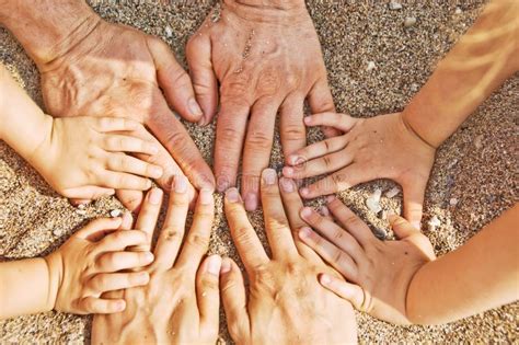 Mani Della Famiglia Fotografia Stock Immagine Di Umano