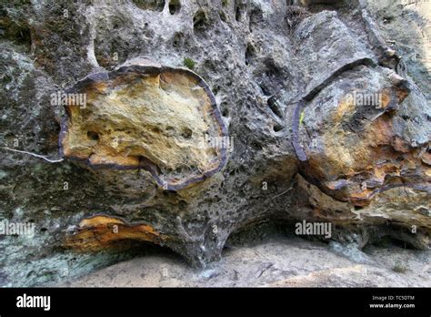 Bog iron ore hi-res stock photography and images - Alamy