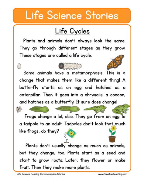 Life Cycle 2nd Grade Science