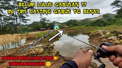 Pemula Auto Strike Cara Mancing Ikan Gabus Yg Benar Tips Trik Umpan