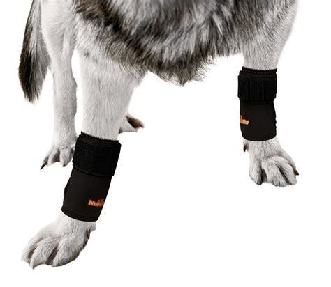 Pair NeoAlly Dog Braces Front Leg Carpal Support Canine Hock Braces ...