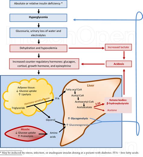 Figure 1 From Diabetic Ketoacidosis In The Pediatric Population With