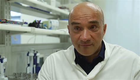 lauc ovo je vjerojatno najtragicnija posljedica pandemije crodexnet