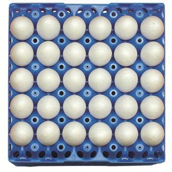 Transport Egg Tray GI OVO B V For Chicken Eggs Plastic