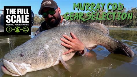 Big Murray River Cod Tackle Selection 2021 Season The Full Scale