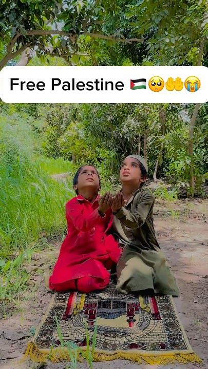 Free Palestine 🇵🇸😭🤲🥺freepalestine Justiceforpalestine Islamicstatus