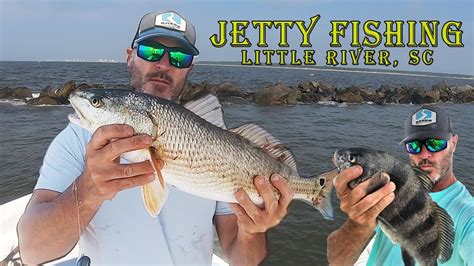 JETTY FISHING: Little River, SC Redfish, Black Drum, Ribbonfish and ...