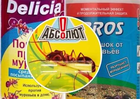 Как избавиться от муравьев в огороде и теплице