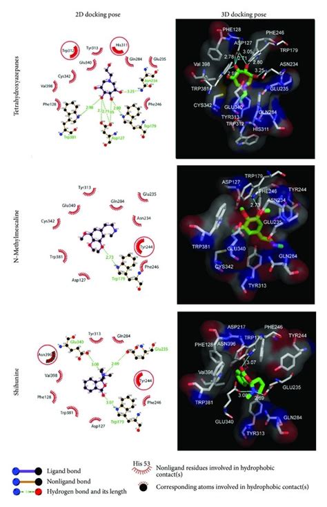 H Bond And Hydrophobic Interactions Analysis Of Docking Poses By