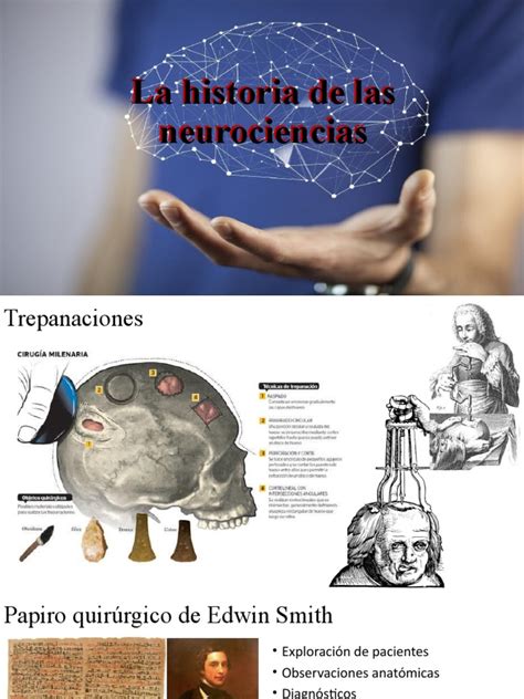 La Historia De Las Neurociencias Pdf Neurona Neurociencia