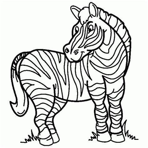 Desenhos Para Pintar Desenhos De Zebras Para Colorir