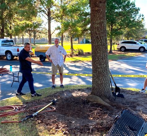 Urban Florida Residents Want To Protect Their Cities Tree Canopy