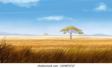 thousand grassland biome royalty  images stock