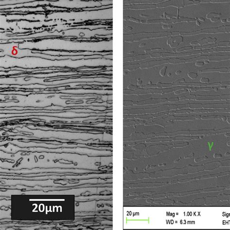 A OM Micrograph B SEM Micrograph Of The As Received Hot Rolled DSS