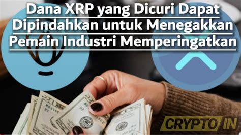 PERINGATAN DANA CURIAN XRP RIPPLE Cryptoin NEWSUPDATE YouTube