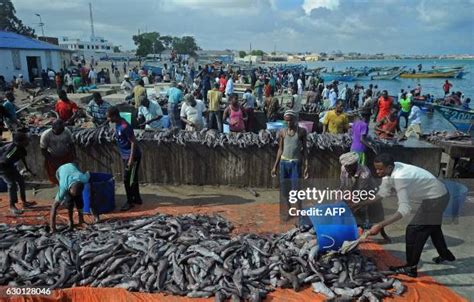 475 Fishing In Somalia Stock Photos, High-Res Pictures, and Images ...