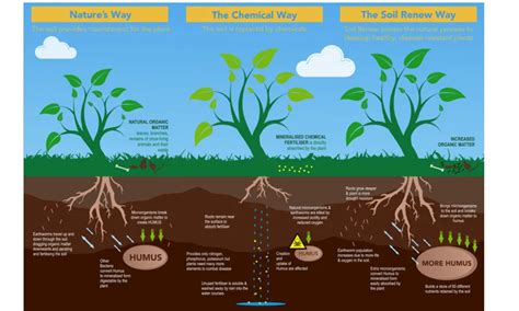 Soil Renew Kennedy S Home And Garden Kennedys Ie