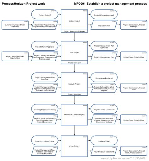 Establish a project management process