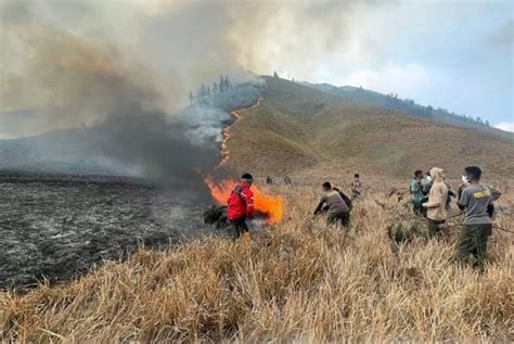 Kebakaran Savana Bromo Capai Ratusan Hektare Dan Titik Api