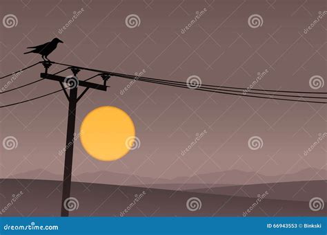 Bird Telephone Pole Stock Illustrations 34 Bird Telephone Pole Stock