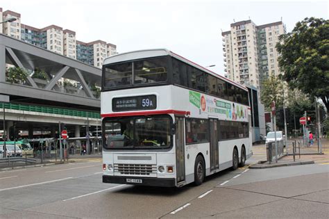 Xtra Pictureview Kmb White Buses