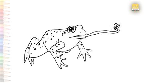 Frog Catch Fly Long Tongue Drawing Frog Drawings How To Draw A Frog