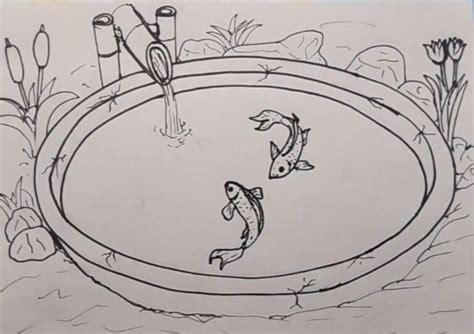 draw fish  pond step  step