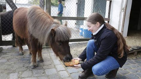 Bürgerpark Bremen Tierkinder im Tiergehege