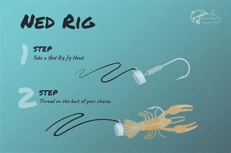 How To Rig A Worm For Bass Popular Set Ups Explained