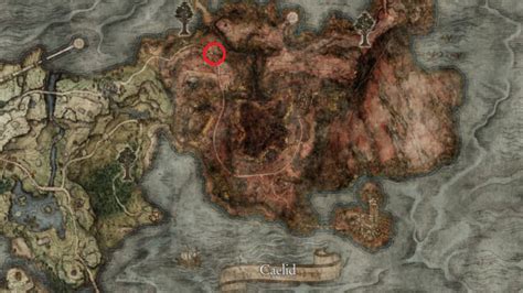 Where To Find All Colossal Sword Locations In Elden Ring The Hiu