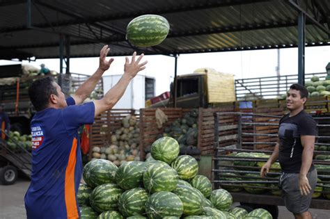 Agronegócio do Ceará teme seca e impacto em empregos e renda