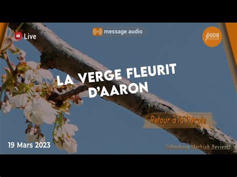 La Verge Fleurit D Aaron Enseignement Youtube